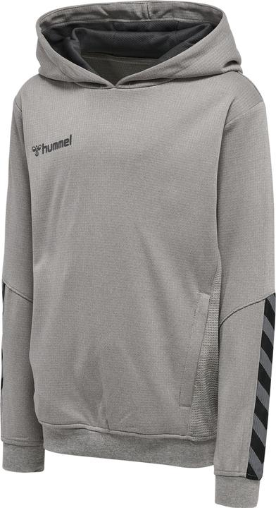 Actual product image hummel Authentic Kids Poly Hoodie (164)