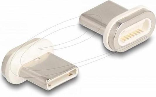 Image du produit Delock Magnetischer Adapter USB Type-C Stecker