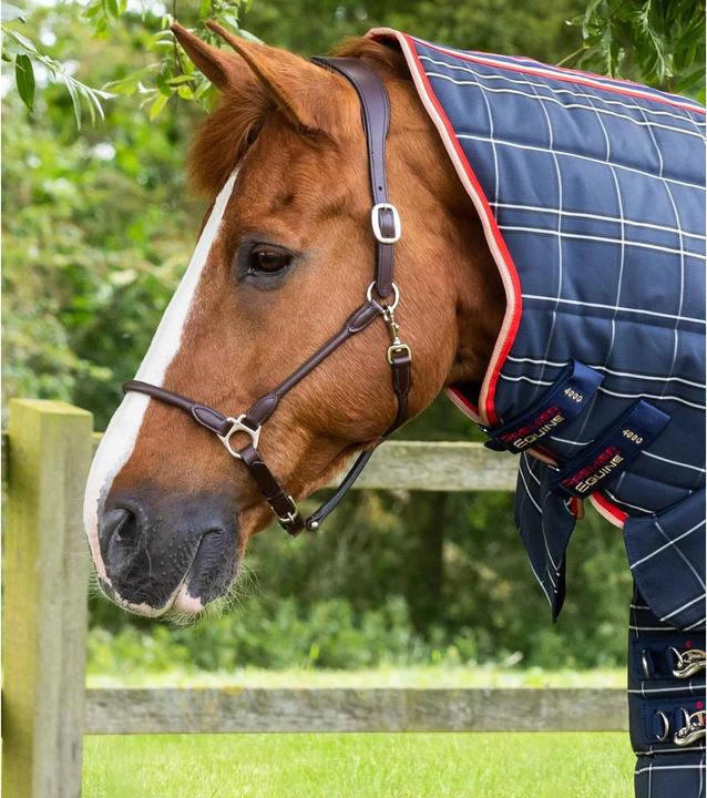 Produktbild Premier Equine Domus 400 g (168 cm)