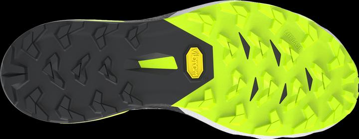 Produktbild Dynafit Alpine DNA 2 Laufschuhe Unisex (39)