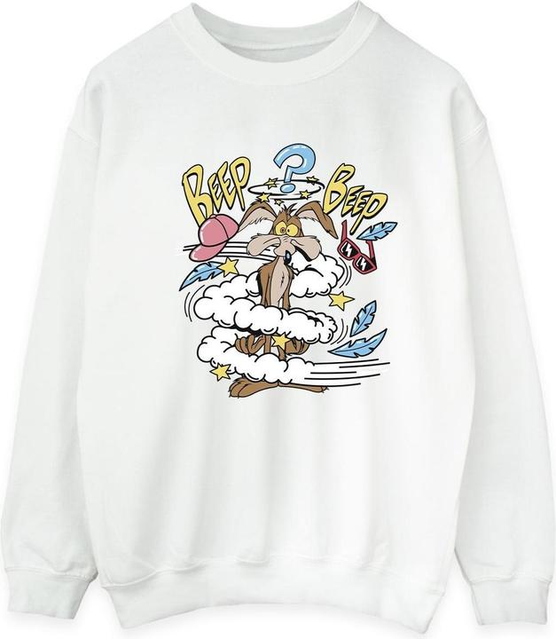 Produktbild Looney Tunes Coyote Daze Sweatshirt (L)
