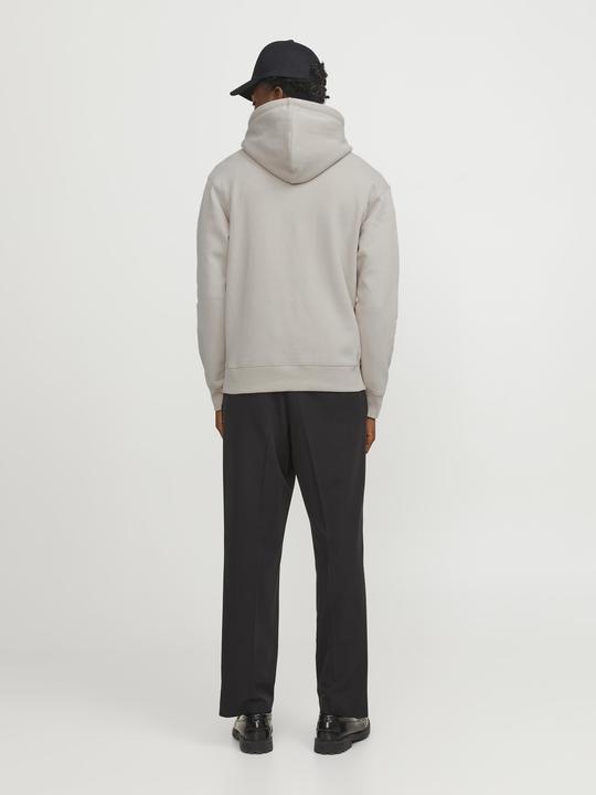 Image du produit Jack & Jones Sweat à capuche (XS)