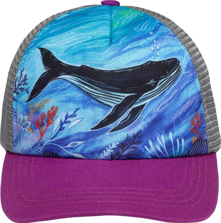 Immagine prodotto Sunday Afternoons Trucker della serie Artist (M, L)