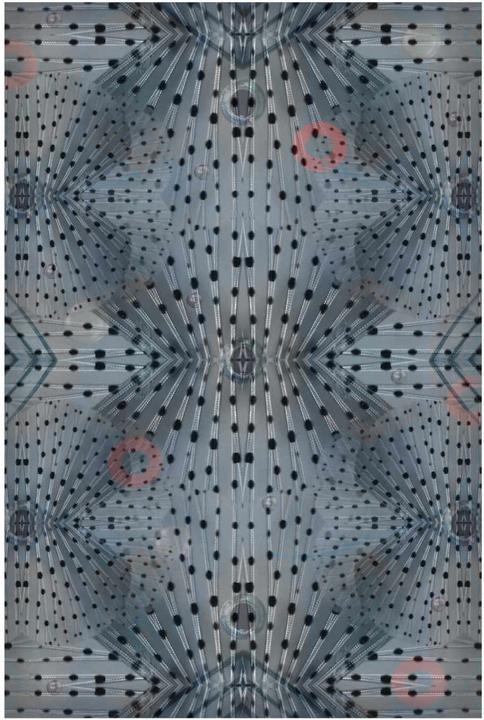Produktbild Moooi Flying Coral Fish Teppich (266 x 400 cm)