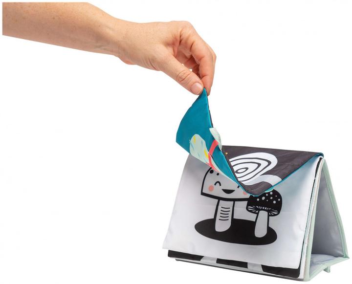 Actual product image Taf Toys Koala (German)