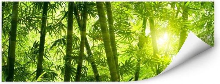 Actual product image Trenddeko Sunshine in the bamboo forest (150 x 60 cm)