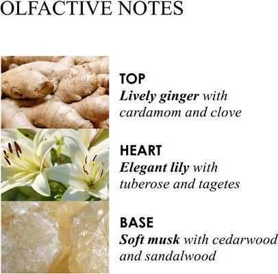 Actual product image Molton Brown Heavenly Gingerlily Fine Liquid Hand Wash (Liquid soap, 300 ml)