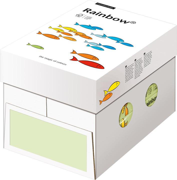 Actual product image Rainbow paper (80 g/m², 500 x, A4)
