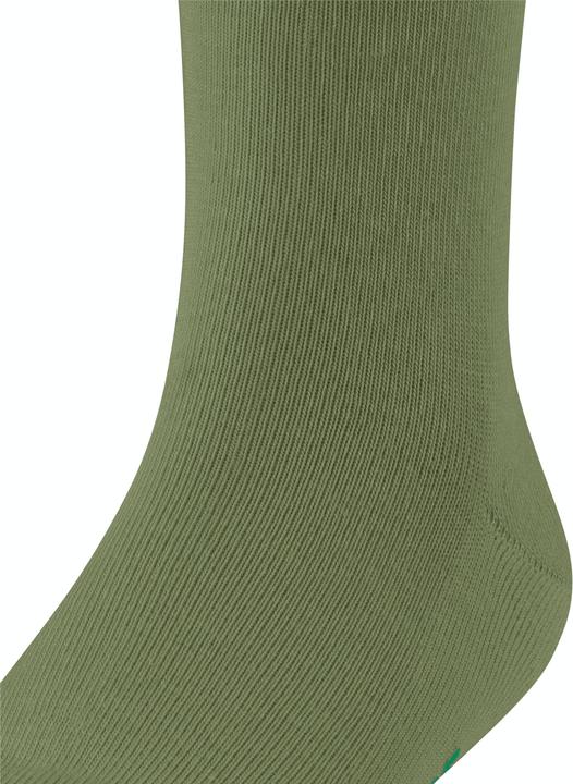 Image du produit Falke Family SO (Une unité par pack, 39 - 42)