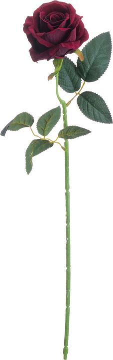 Produktbild Hill Interiors Künstliche Teerose (53 cm)