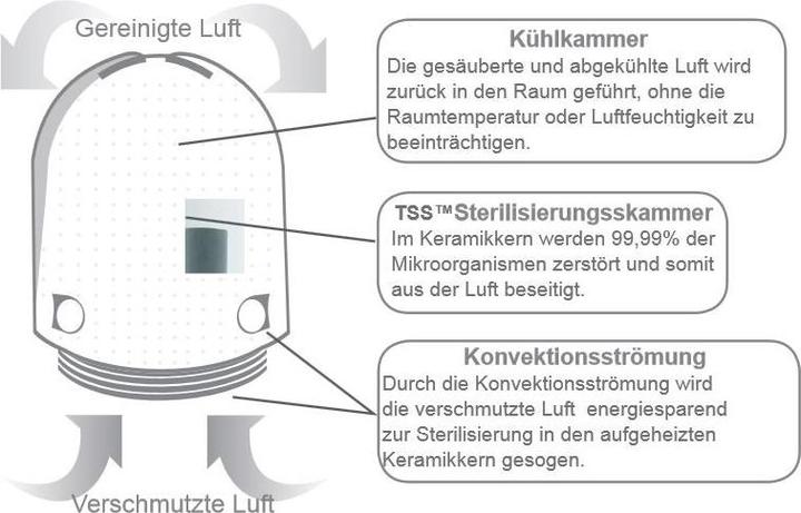 Produktbild Airfree P40 (16 m²)
