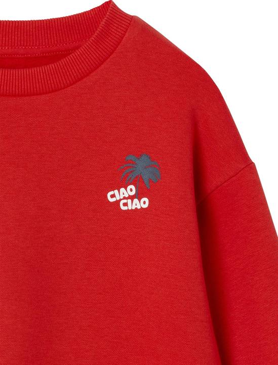 Produktbild Vertbaudet Jungen Sweatshirt mit Urlaubsmotiv hinten, Recycling-Polyester (158)