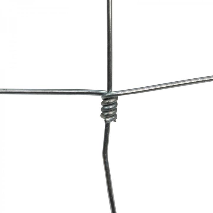 Image du produit Dema Treillis à noeuds / Clôture 0,8x50m