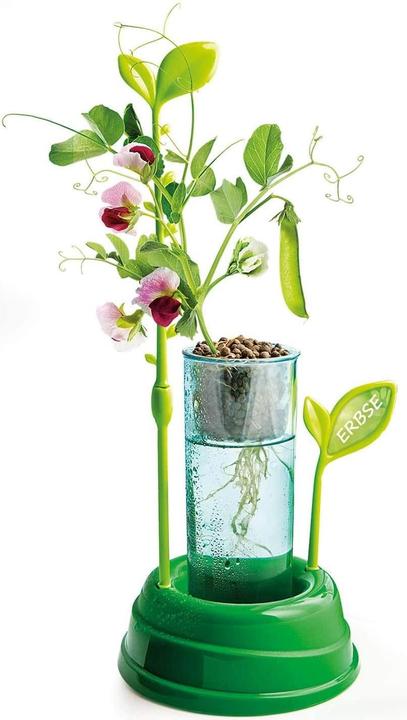 Actual product image Clementoni Botany and hydroponics