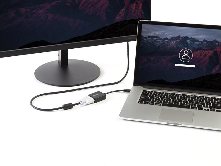 Actual product image StarTech Mini Displayport To Dvi (Mini DP, DVI, 18.50 cm)