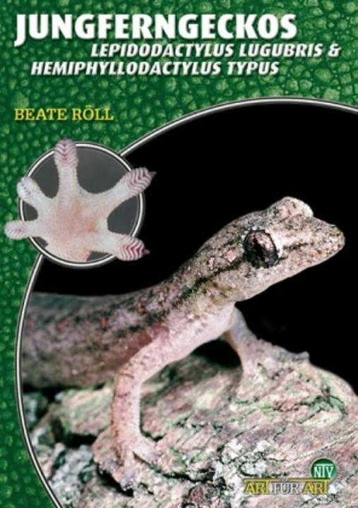 Actual product image Maiden geckos (German, Beate Röll, 2018)