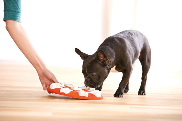 Image du produit Nina Ottosson Dog Smart (Jouet intelligent chien)