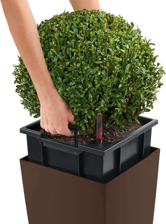 Produktbild Lechuza Cubico Color 30 (29.50 cm)