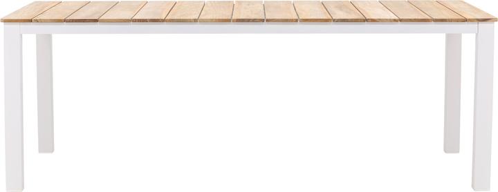 Actual product image Venture Home Dining table Mexico (100 cm)