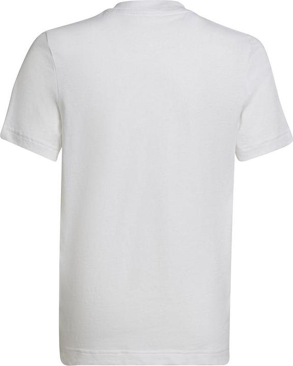 Actual product image adidas Entrada 22 T-Shirt Kids (164)