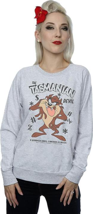 Actual product image Looney Tunes Womens/Ladies Tasmanian Devil Vintage Heather Sweatshirt (S)