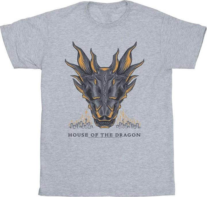 Game of Thrones Dragon Flames TShirt