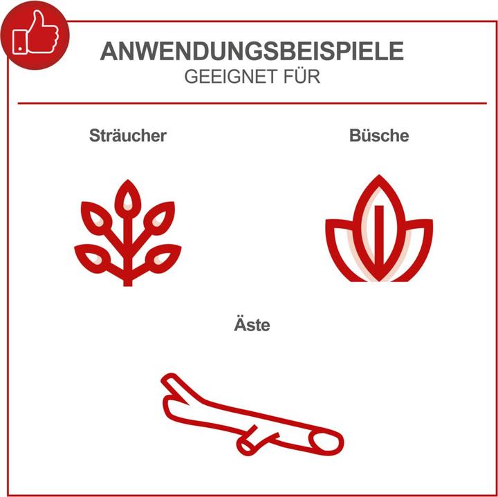 Produktbild Scheppach PCS6-20PROS (Akku Kettensäge)