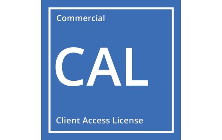 Produktbild Microsoft MS OEM Windows Server CAL 2025 1pk 5 Clt User CAL (DE) (5 User, unbegrenzt)