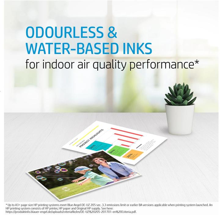 Actual product image HP Advanced Photo Paper 10 sheets (250 g/m², 101 x 305 mm, 10 x)