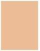 Immagine prodotto Dior Forever Skin Glow 24H Radiant Foundation (3N Neutro)