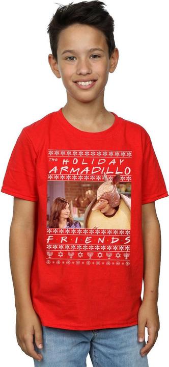 Actual product image Friends Boys Fair Isle Holiday Armadillo T-Shirt (152, 158)