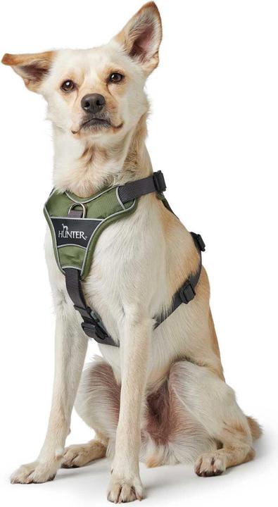 Produktbild Hunter Geschirr Divo (M, Hund, Hundesport)