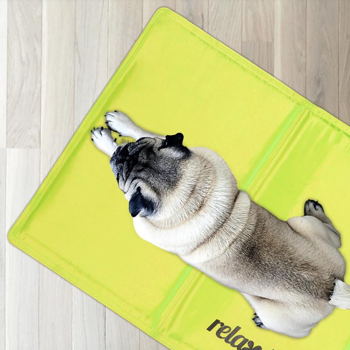 Produktbild Relaxdays Kühlmatte Hund (Hund)
