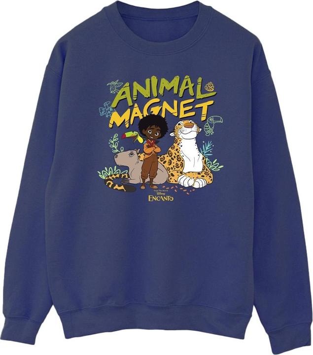 Disney Encanto Animal Magnet Sweatshirt (S)