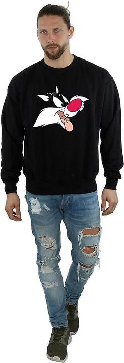 Actual product image Looney Tunes Sweatshirt (XL)