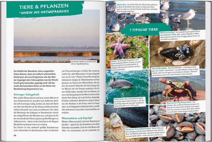 Produktbild OUTDOOR GUIDE Reiseführer Ostseeküste Mecklenburg-Vorpommern