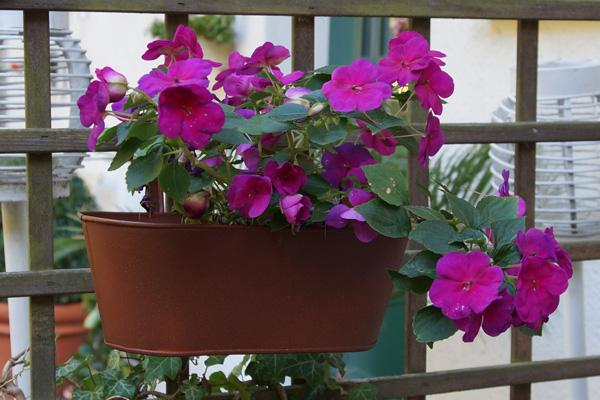 Immagine prodotto Dupli-Color Effetto ruggine (Rosso-marrone, 0.40 l)