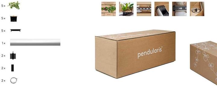 Image du produit Pendularis Set 0.5 Rapid (50 cm)