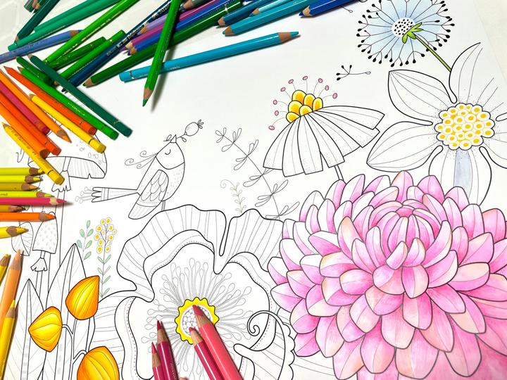 Image du produit Le monde à colorier de Pia Pedevilla - Les quatre saisons