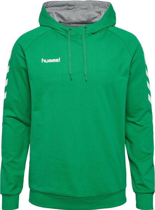 Actual product image hummel Go Cotton Hoodie (M)