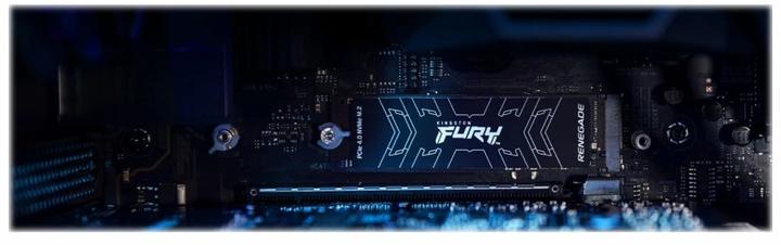 Image du produit Kingston FURY Renegade (1000 Go, M.2 2280)