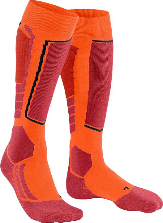 Actual product image Falke Kniestrümpfe SK2 (39 - 41)