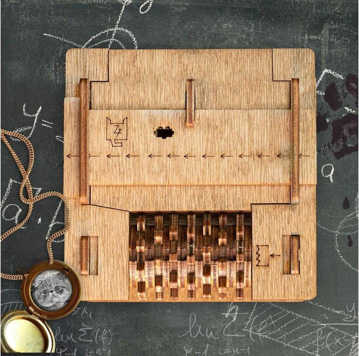 Actual product image iDventure Cluebox - Schrödinger's cat (German, French, English)
