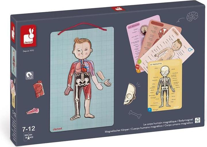 Image du produit Janod Corps magnétique (Allemand, Anglais, Français, Italien, Espagnol)