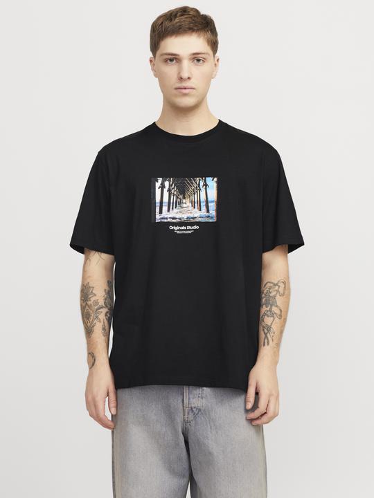 Actual product image Jack & Jones Jorvesterbro Picture Tee Ss Crew Neck Sn (XXL)