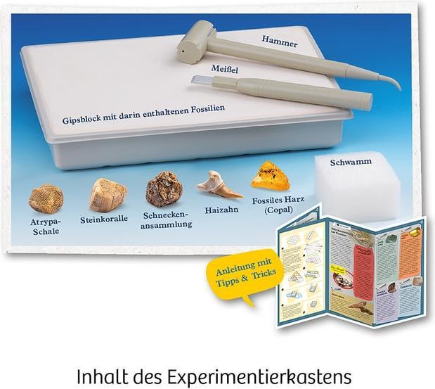 Produktbild Kosmos Fossilien