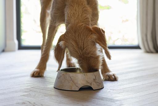 Actual product image Designed by Lotte Dog bowl Meis (0.70 l)