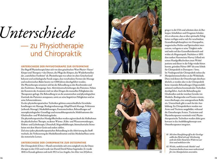 Produktbild Kosmos Osteopathie für Pferde (Deutsch, Irina Keller, Beatrix Schulte Wien, 2023)