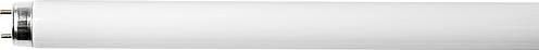 Image du produit Osram Lampe fluorescente (G13, 18 W, 1350 lm, 1 x, G)
