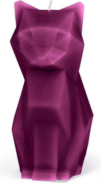 Actual product image 54Celsius PyroPet Kisa (1 pcs.)